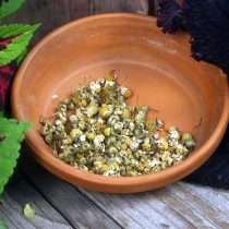 Chamomile - 12 oz - ONLY 1 LEFT IN STOCK!!