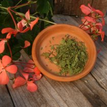 Lovage - 4 oz - ONLY 3 LEFT IN STOCK!!