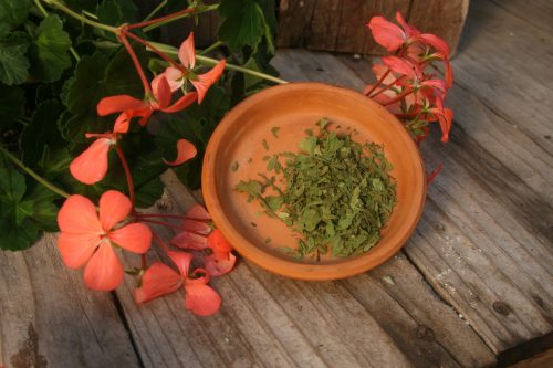Lovage - 4 oz - ONLY 3 LEFT IN STOCK!!