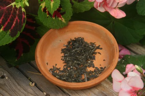 Wakame - Flakes - 4 oz - ONLY 7 LEFT IN STOCK!!!!