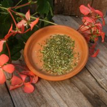 Skullcap - 1 lb - ONLY 1 LEFT IN STOCK!!