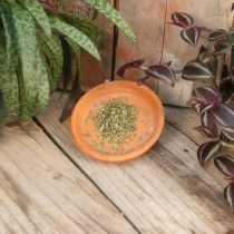 Thyme - Lemon - 13 oz - ONLY 1 LEFT IN STOCK!!