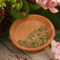 Uva Ursi - Leaf - 11 oz - ONLY 1 LEFT IN STOCK!!