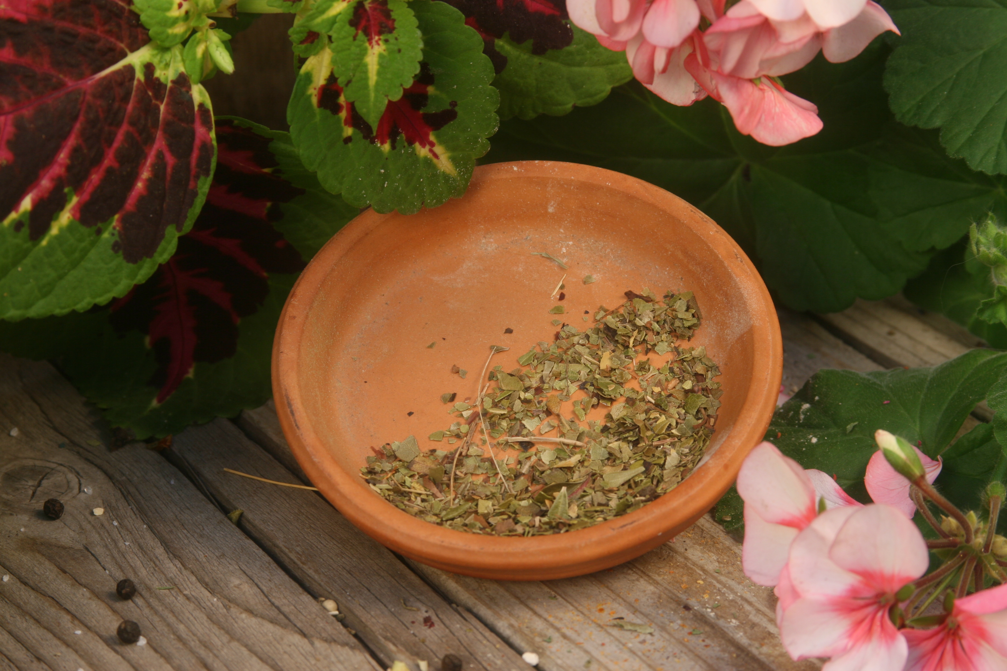 Uva Ursi - Leaf - 11 oz - ONLY 1 LEFT IN STOCK!!