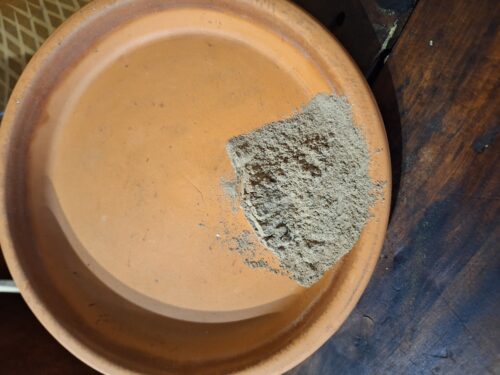 Black Cohosh Root - Powder - 4 oz - ONLY 1 LEFT IN STOCK!!