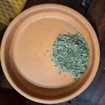 Celery Leaf - 4 oz - ONLY 4 LEFT IN STOCK!!!
