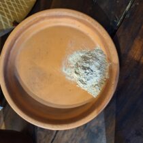 Echinacea Root Powder - 4 oz - ONLY 3 LEFT IN STOCK!!