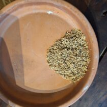 Elderflower - 4 oz - ONLY 3 LEFT IN STOCK!