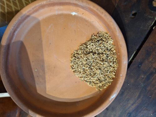 Elderflower - 4 oz - ONLY 3 LEFT IN STOCK!