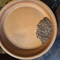 Flax Seed - 4 Oz - ONLY 3 LEFT IN STOCK!