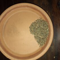 Basil - Holy - 4 oz - ONLY 3 LEFT IN STOCK!!