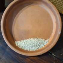 Sesame Seed - 4 oz - ONLY 2 LEFT IN STOCK!!!