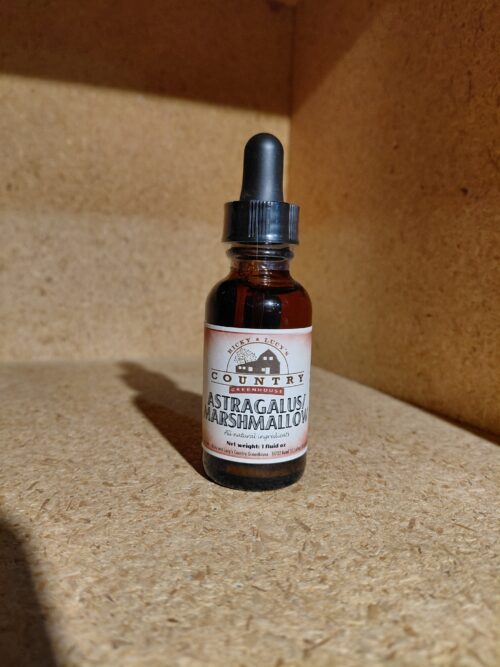 Astragalus / Marshmallow - ONLY 15 LEFT IN STOCK!!!